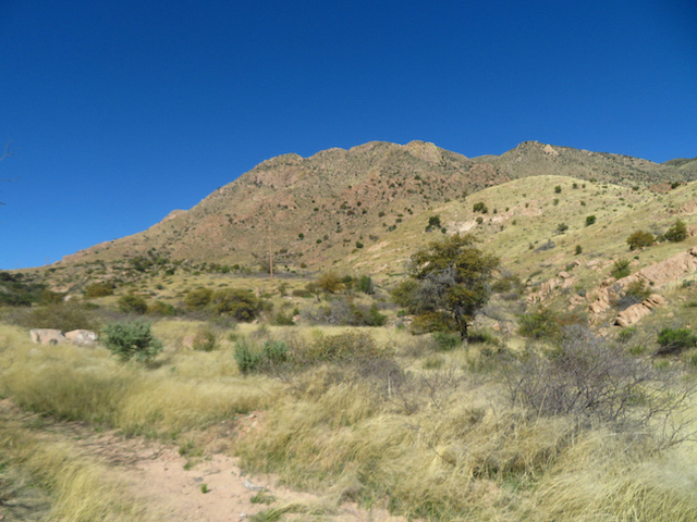 Zenfolio | Southern Arizona Hiking Club | 4-14 Kane Springs Mtn.