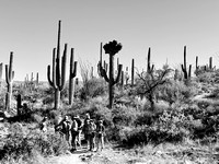 5-7 Cactus Forest Monday