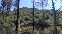 6-23 Rattlesnake Peak/Chirichuas