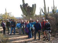 3-4-19 A Walk in the Cactus Forest