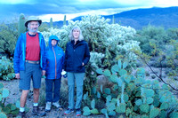 12-9-19 A Walk in Cactus Forest