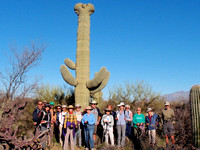 3-16-20 Cactus Forest Monday